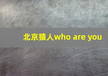 北京猿人who are you